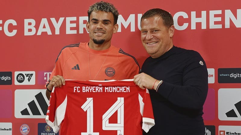 球迷期待球 球迷期待球